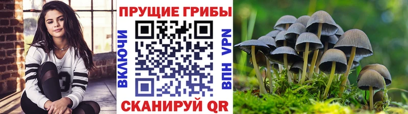 магазин наркотиков Нахабино мориарти состав Псилоцибиновые грибы MAGIC MUSHROOMS
